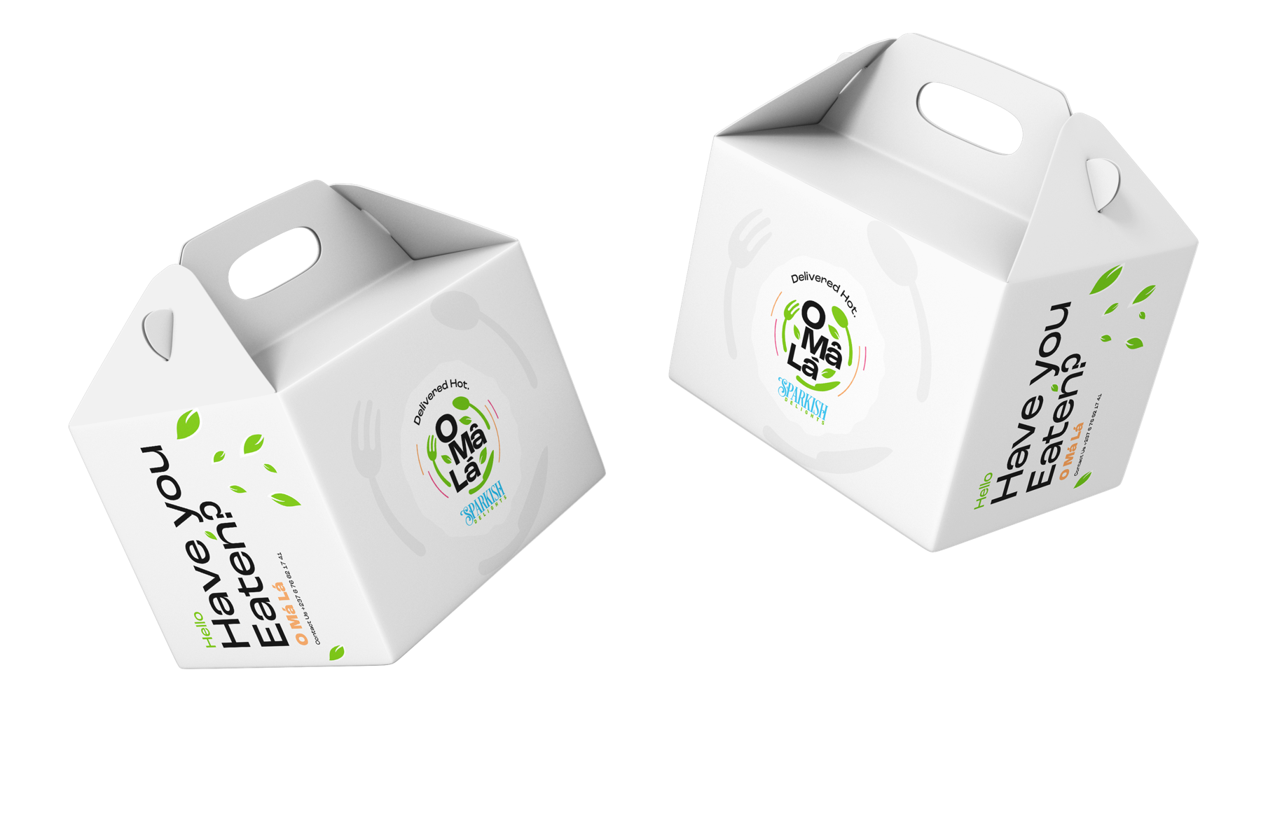 Two white Ekoraa-branded takeaway boxes shown in an early packaging concept
